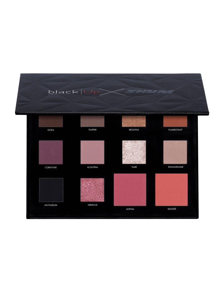 BLACK UP PALETTE SHY'M 10 FAP